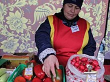 Более 100 ярмарок выходного дня заработают в Москве 7 апреля