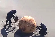 От НЛО до шпионского шара: в Японии тщетно пытаются выяснить природу найденного на пляже металлического предмета