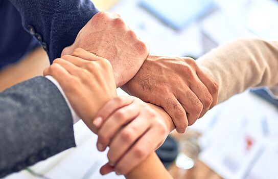 ФАС раскрыла сговор аудиторов на торгах по услугам компаниям с госучастием