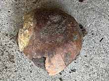 Житель США обнаружил на берегу реки останки человека возрастом более 4000 лет