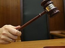 Сибирячка пойдет под суд за фиктивных близнецов и миллион из бюджета