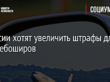 В России хотят увеличить штрафы для авиадебоширов