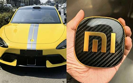 Переполох среди автовладельцев Xiaomi: вор не устоял перед модным аксессуаром