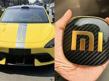 Переполох среди автовладельцев Xiaomi: вор не устоял перед модным аксессуаром