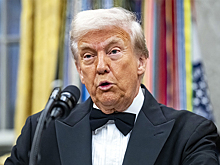 В США подсказали Трампу, как реализовать мирный план по Украине