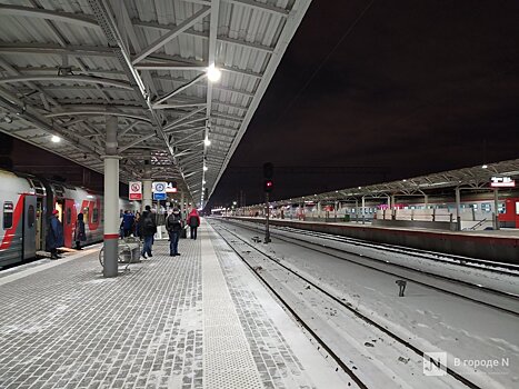 На поезда в Крым нижегородцы смогут сесть в Дзержинске и в Петряевке