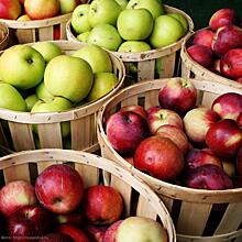 7 полезных свойств яблок