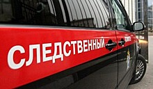 Патологию назвали причиной смерти трехлетней девочки в саду