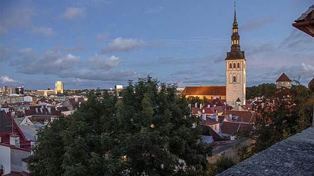 Эстония заявила о готовности предоставить Украине гарантии безопасности