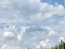 В небе над Колумбией сняли НЛО