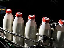 Российских производителей молочной продукции обложат штрафами