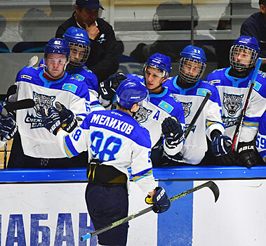 МХЛ: "Лисы" догнали "Барсов" за 18 секунд