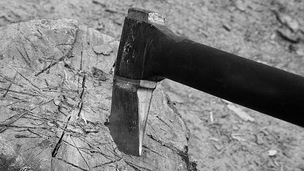 Курьер маркетплейса напал с топором на таксиста в Петербурге