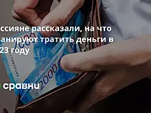 Россияне рассказали, на что планируют тратить деньги в 2023 году