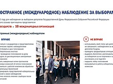 На выборах в Госдуму будет 250 международных наблюдателей