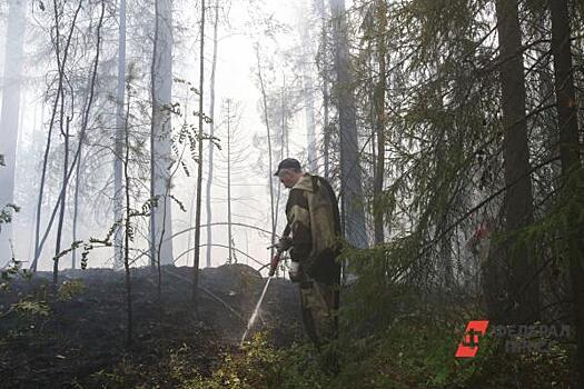 На Урале лесные пожары начались в 2023 году на две недели раньше, чем в прошлом