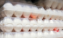 Партия из почти миллион яиц прибыла из Турции в Россию