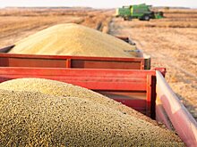 На 8% вырос несырьевой неэнергетический экспорт Москвы в страны ШОС