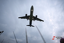 Пилоты, экстренно посадившие самолет под Новосибирском, вернулись в Екатеринбург