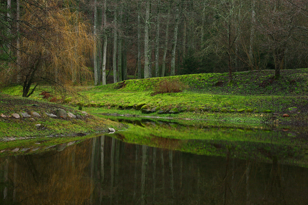 Паланга, Литва, Европа