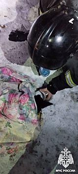 В Кузбассе из горящего дома спасли собачку Люсю