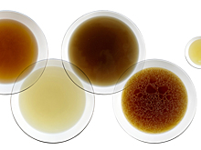 Бульоны: как варить, как осветлять, как хранить