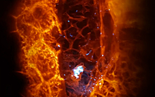 Новый микроскоп покажет движение клеток в живом теле в 3D