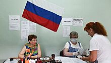 "Единая Россия" и ЛДПР готовы создать резерв наблюдателей на выборы