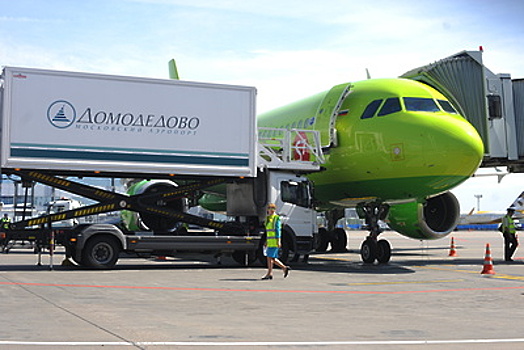 Слитки золота пробили дно самолета в аэропорту «Домодедово»