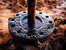 «Транснефть» планирует полностью очистить «Дружбу» от хлора за 6-8 месяцев