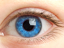 Золотые правила, как не потерять зрение