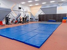 Бастрыкин запросил доклад после травмирования ребенка на спортивной секции на Кубани