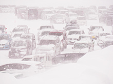 Мечтали увидеть китов, но попали в снежный плен. Как туристы в Териберке пережидают непогоду?