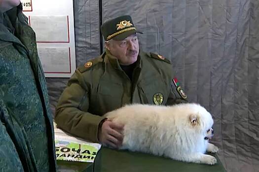 Псу Лукашенко рекомендовали похудеть