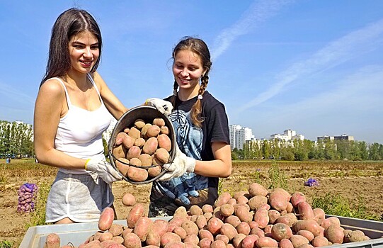 Кто на самом деле научил россиян есть картошку