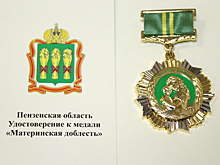 Более 50 жительниц Пензенской области удостоены медалей «Материнская доблесть»