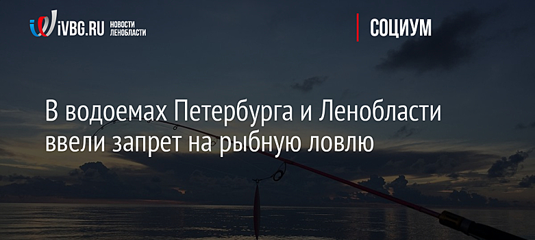 В водоемах Петербурга и Ленобласти ввели запрет на рыбную ловлю