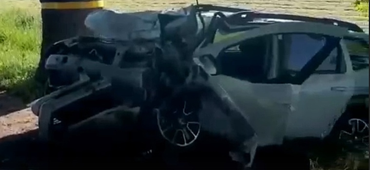 Под Калининградом автомобиль Renault врезался в дерево, водитель погиб