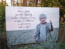 Около 70 млн руб. выделят на строительство павильонов в Новосибирском зоопарке в 2019 г.