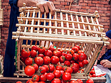 «Кровавые помидоры» Алиева: на Украине застрелили азербайджанца из-за цены на овощи