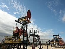 «Дочка» ННК собирается разрабатывать нефтяное месторождение в Самарской области