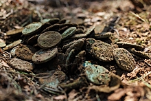На Дону нашли клад ордынских монет времен Куликовской битвы