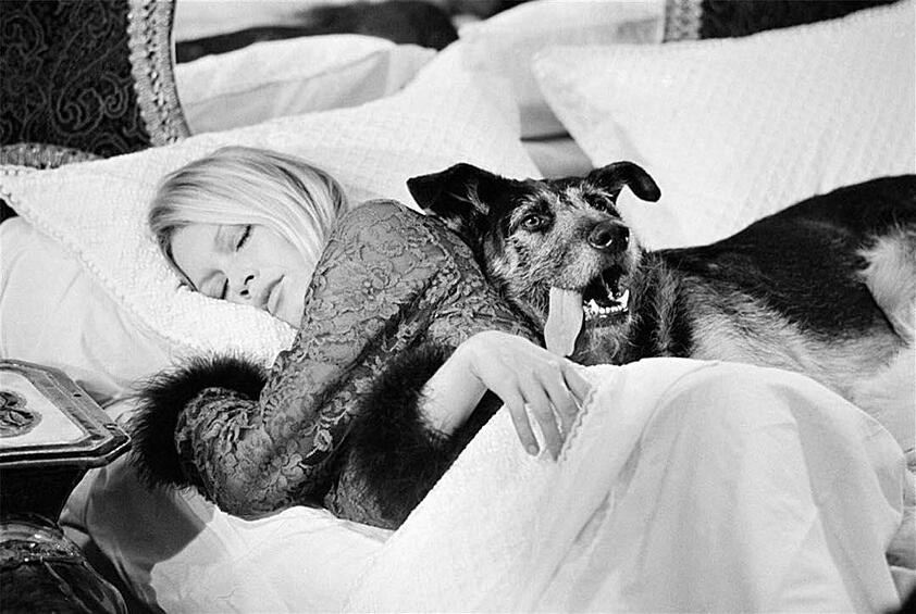 Бриджит Бардо с собакой, на съемках Les Novice, 1970.
