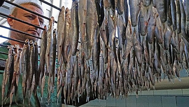 Калининградские власти намерены продлить поддержку рыболовецкой отрасли