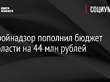 Госстройнадзор пополнил бюджет Ленобласти на 44 млн рублей