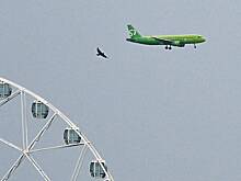 Российская авиакомпания запретила пилотам снимать красивые посадки и взлеты