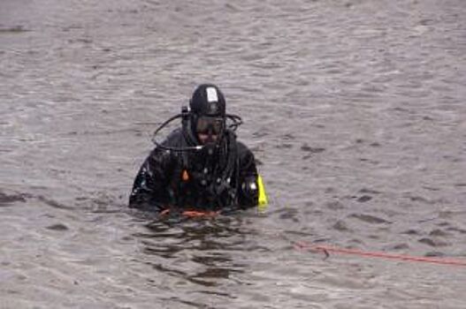 Мужчина утонул в пруду в Ульяновской области