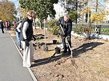 30 саженцев высадили сегодня депутаты и сотрудники городской Думы Дзержинска