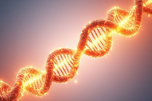 Криминалисты получили ДНК, найденные на месте ограбления Лувра