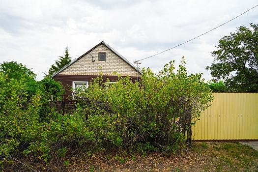 Волгоградцам объяснили, куда жаловаться на руководство СНТ